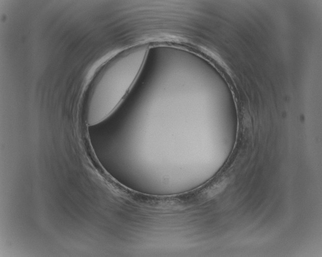X0000073450979200607281002