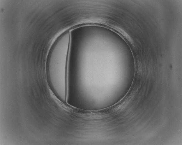 X0000073450980200607281002