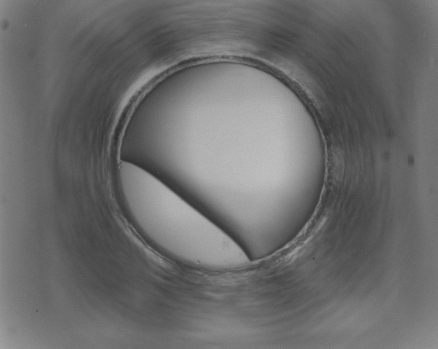 X0000073450982200607281002