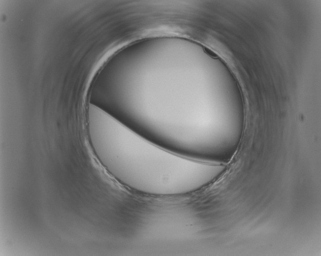X0000073451008200607281001