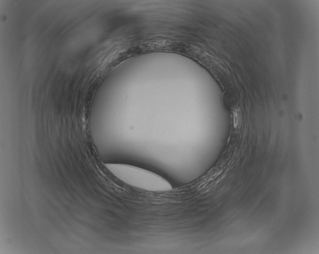 X0000073451011200607281001