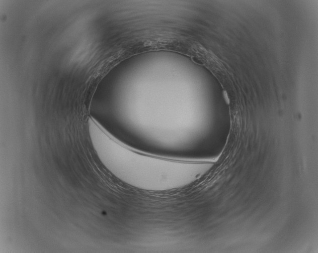 X0000073451012200607281001