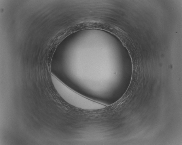 X0000073451014200607281001