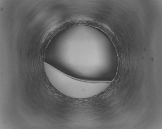 X0000073451016200607281001