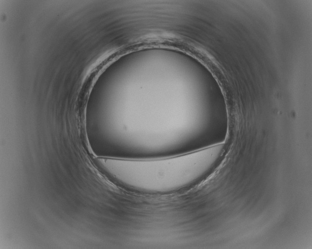 X0000073451018200607281001