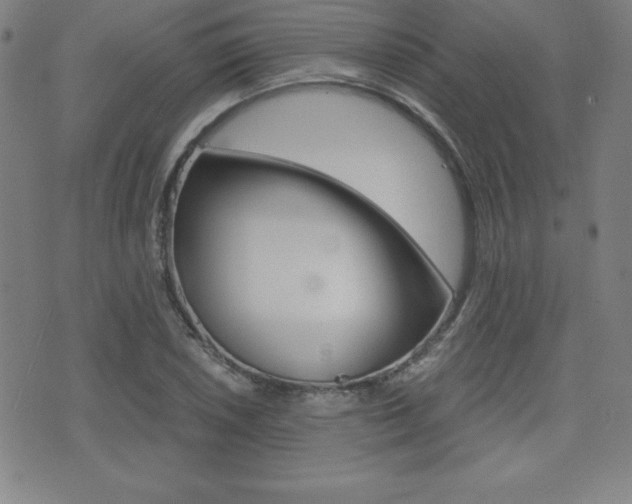 X0000073451026200607281001