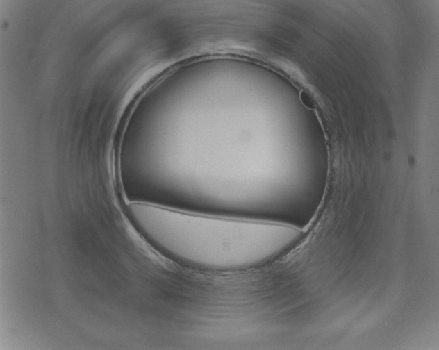 X0000073451032200607281001