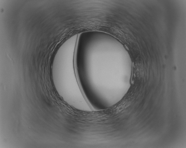 X0000073451057200607281001