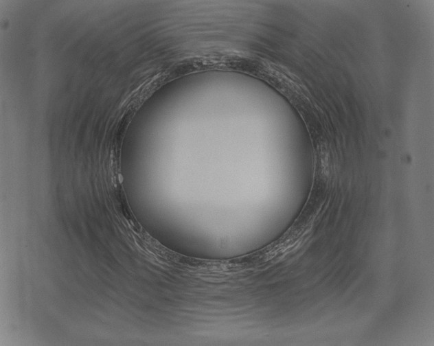 X0000073451060200607281001