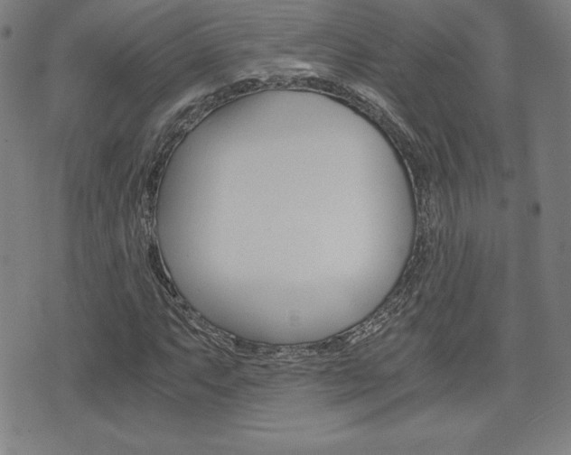X0000073451063200607281001