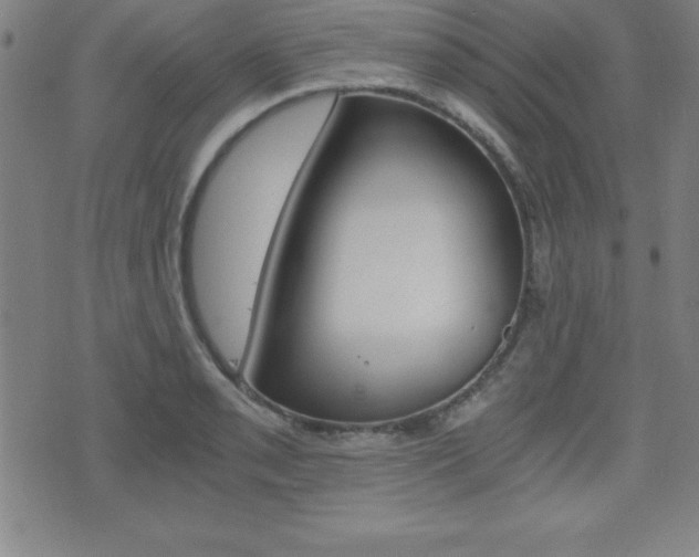 X0000073451085200607281000