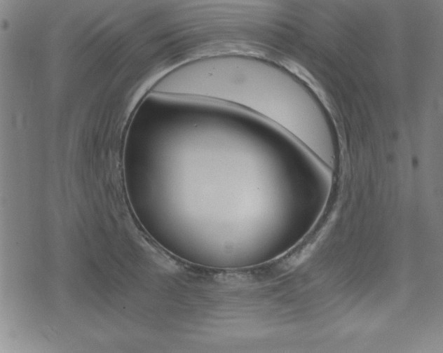 X0000073451089200607281000