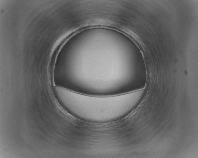 X0000073451120200607280959