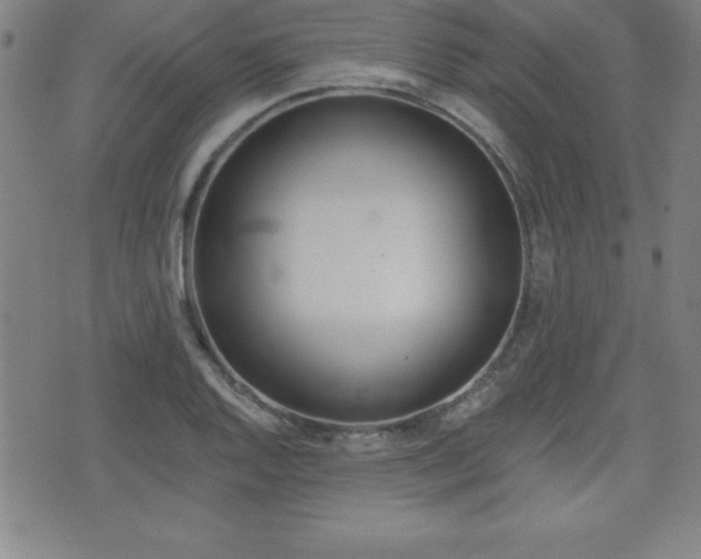 X0000073451128200607280959