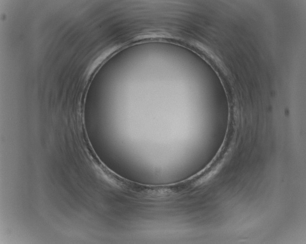 X0000073451129200607280959