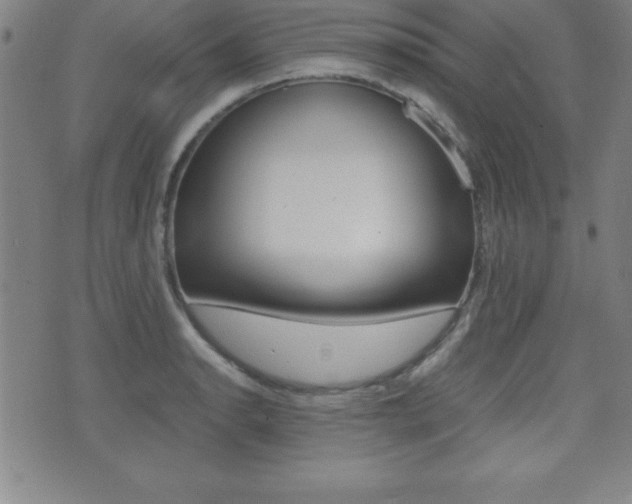 X0000073451134200607281000