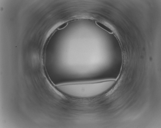 X0000073451141200607281000