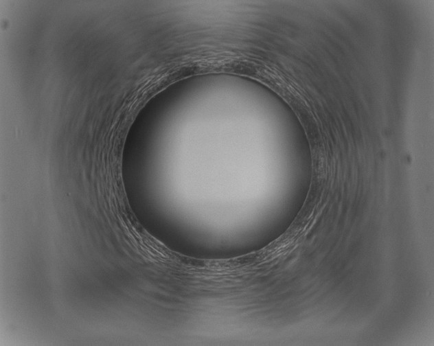 X0000073451153200607280959