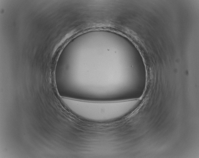 X0000073451165200607280959