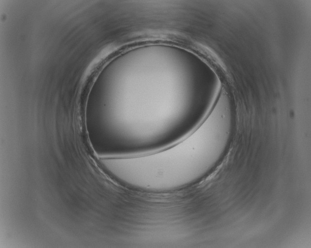 X0000073451172200607280959
