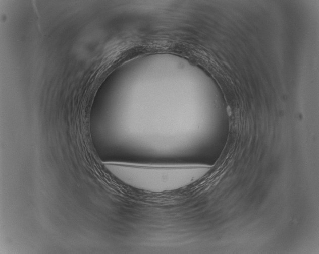 X0000073451201200607280958