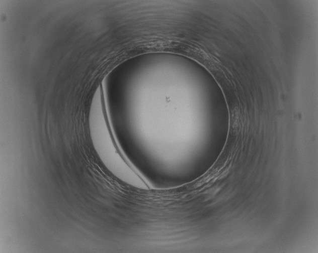 X0000073451202200607280958