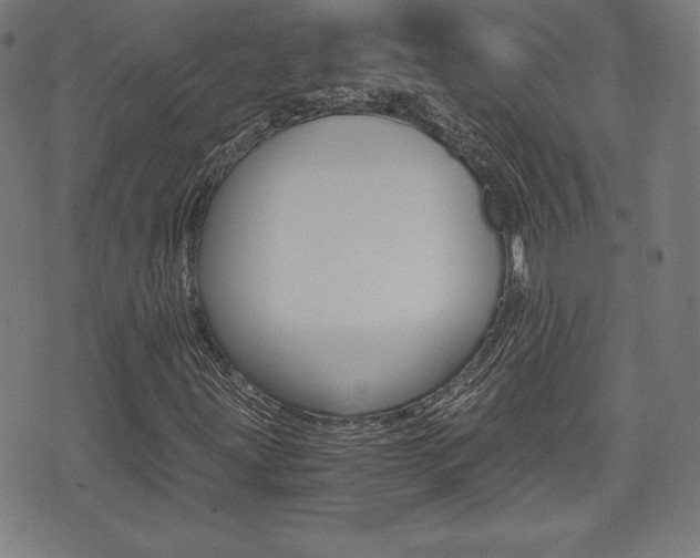 X0000073451203200607280958