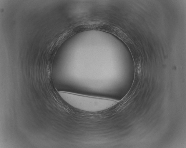 X0000073451204200607280958