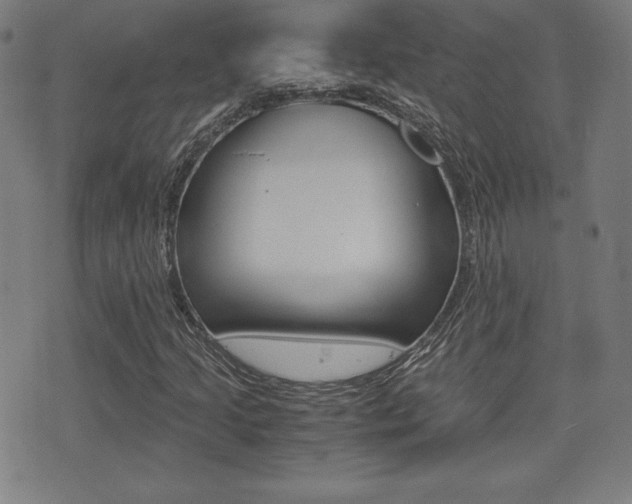 X0000073451205200607280958