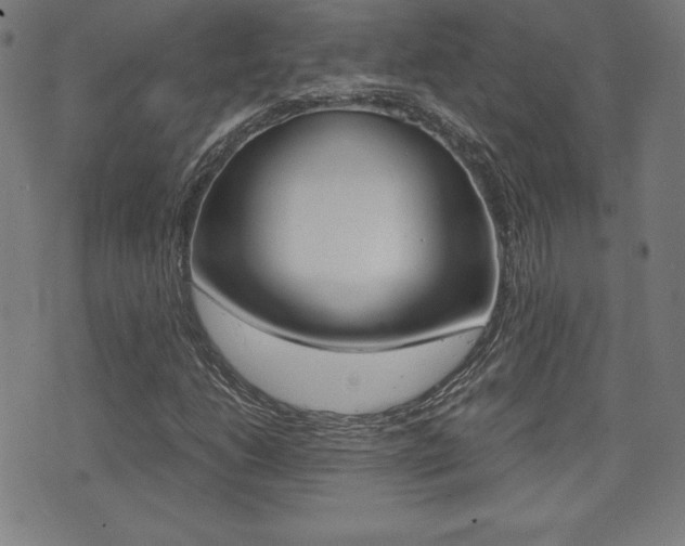 X0000073451206200607280958