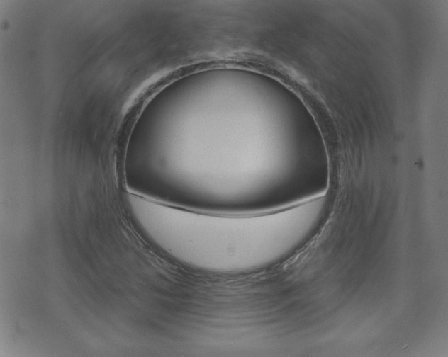 X0000073451214200607280958