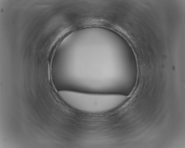 X0000073451219200607280958