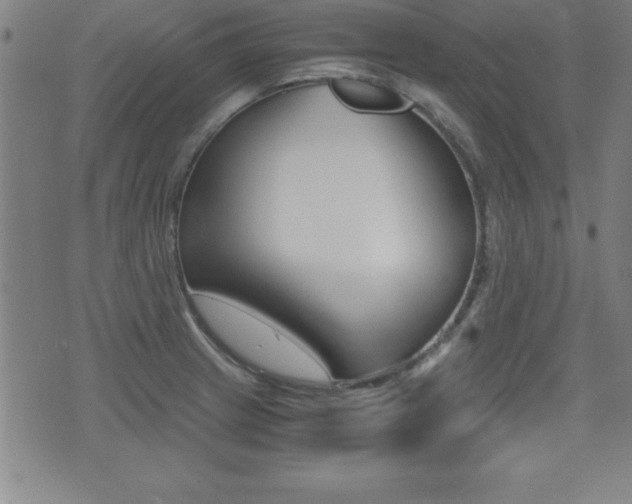 X0000073451233200607280958