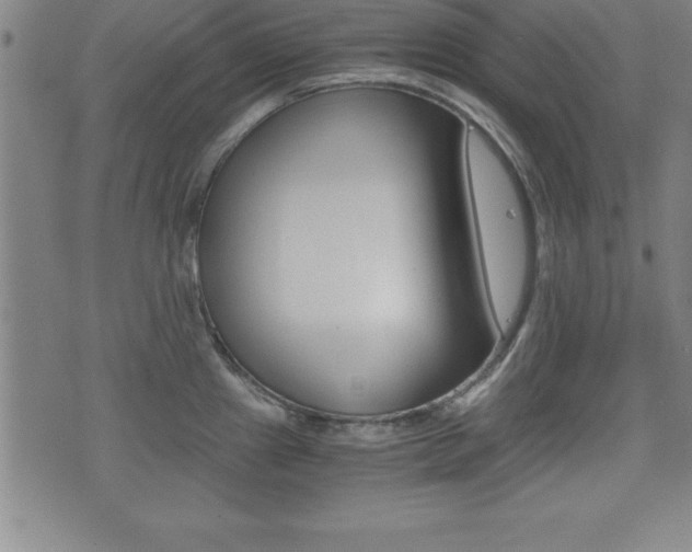 X0000073451241200607280958