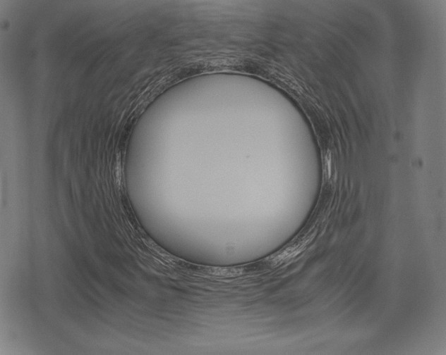 X0000073451251200607280958