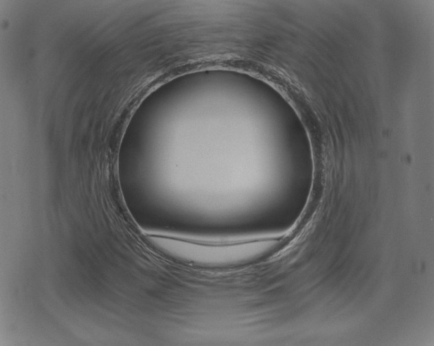 X0000073451257200607280957