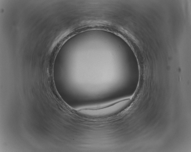 X0000073451261200607280957