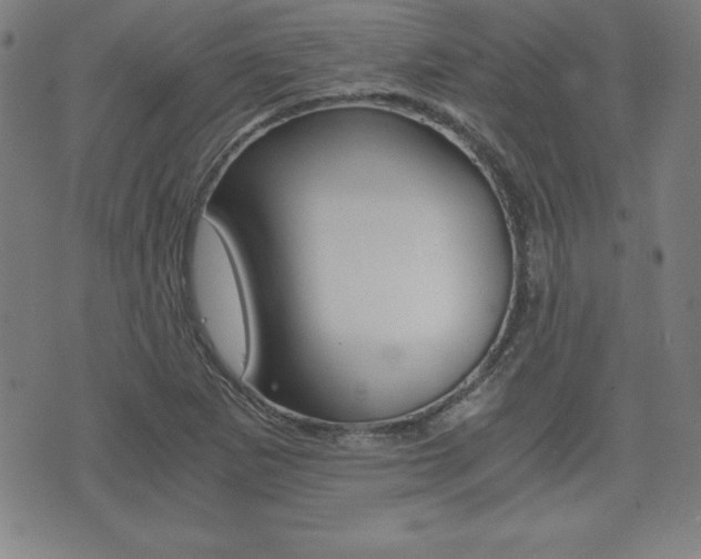 X0000073451265200607280957