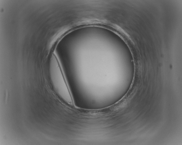 X0000073451269200607280957