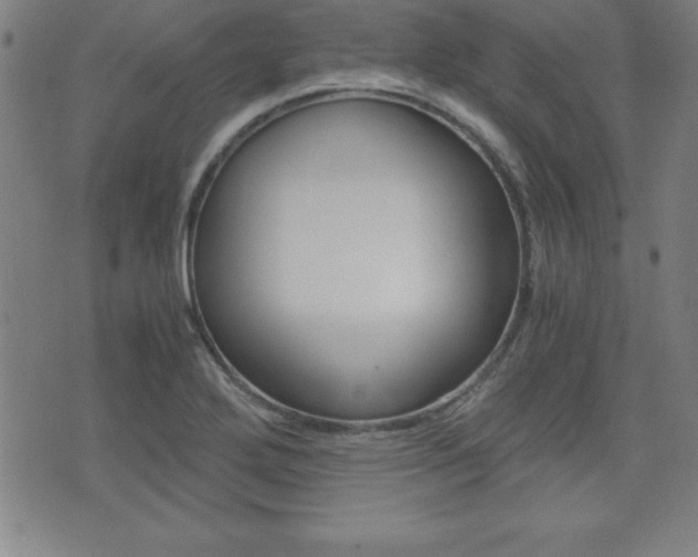 X0000073451272200607280957