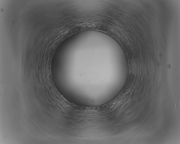 X0000073451297200607280956