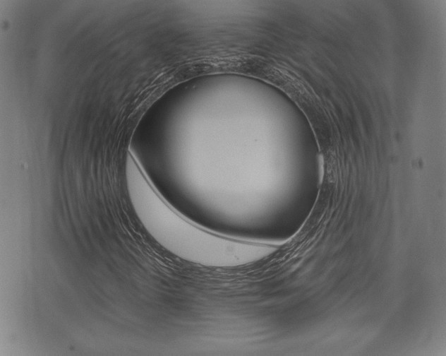 X0000073451298200607280956
