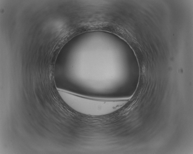 X0000073451300200607280956
