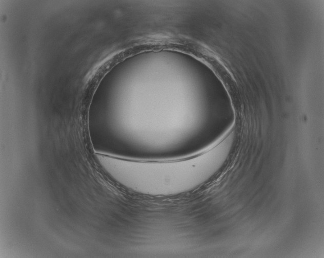 X0000073451304200607280956