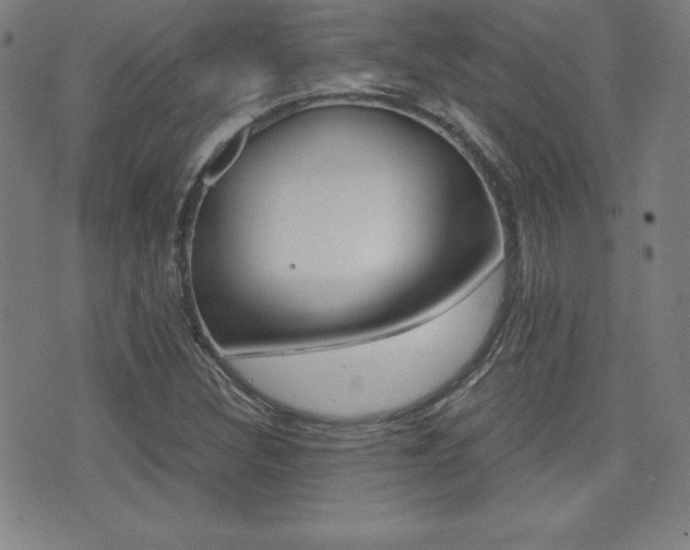 X0000073451308200607280956