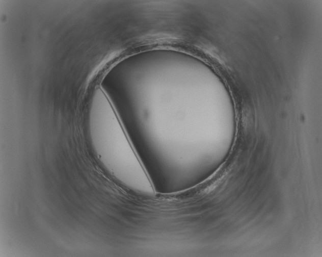 X0000073451309200607280956