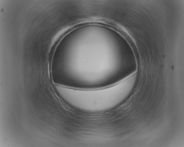 X0000073451320200607280956