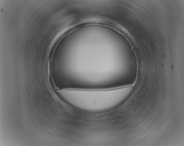 X0000073451323200607280956