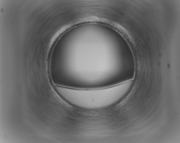 X0000073451326200607280956