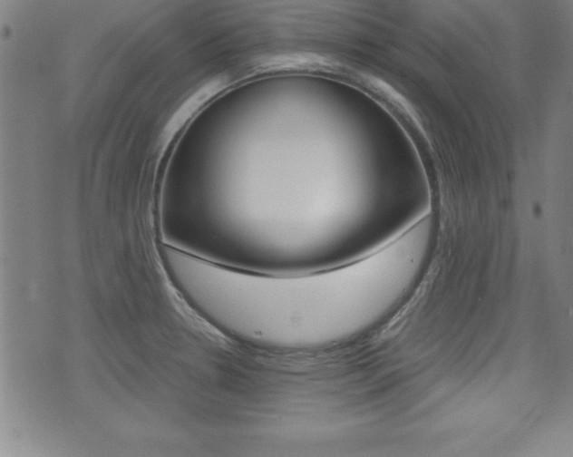 X0000073451330200607280957